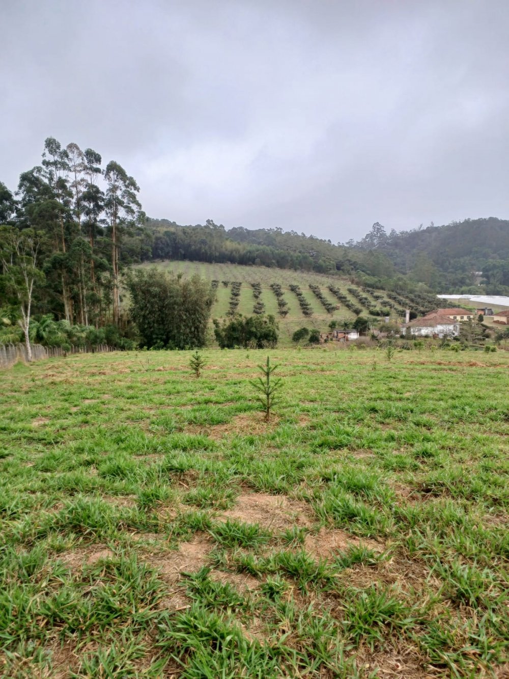 Stio - Venda - Cocuera - Mogi das Cruzes - SP