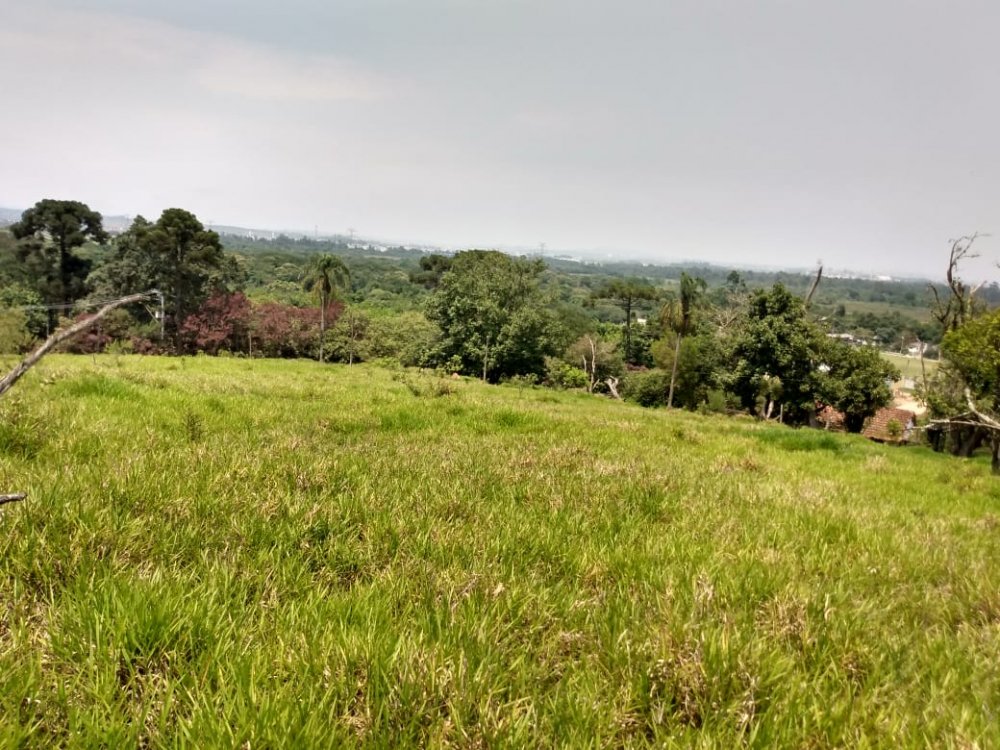 Terreno - Venda - Volta Fria - Mogi das Cruzes - SP